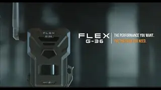 The New SPYPOINT FLEX G-36 | Trail Cameras | SPYPOINT