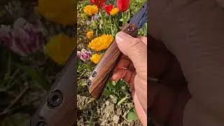 ROCKSTEAD HIGO X YXR7 