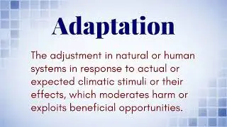 What Is The Definition of (Adaptation)?