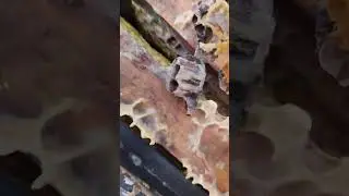 Зимнее пчеловодство Бакфаст