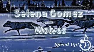 ✮Selena Gomez_&_Marshmello - Wolves //Speed Up//
