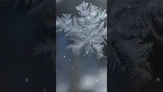 Снежинки за окном