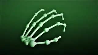 AutoCAD | Human Hand Bone