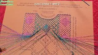 Video 4 Klineex 1 Hanging straight Intertwined spiders