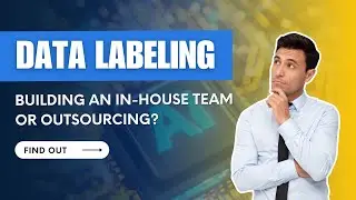 Data Labeling Strategies: Building an In house Team or Outsourcing?