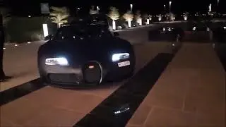SAYGIN YALCIN LIFESTYLE _ BILLIONAIRE ENTREPRENUER