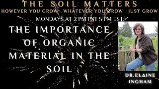 The Importance Of Organic Material In The Soil