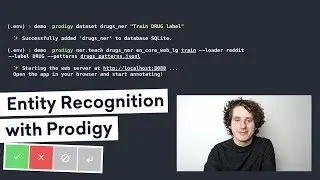 TRAINING A NEW ENTITY TYPE with Prodigy – annotation powered by active learning