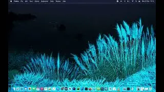 Turn web contents into dark mode Mozilla Firefox