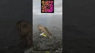 ЗУБАТКА ПЯТНИСТАЯ vs RAPTOR 40 ТРОФ  НОРВЕЖСКОЕ МОРЕ- Русская Рыбалка 4 | RUSSIAN FISHING 4