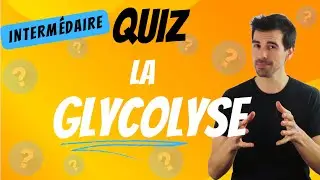 QUIZ -Glycolyse- Intermédiaire