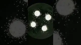 Keep your eyes peeled: you never know magic you’ll witness during a 