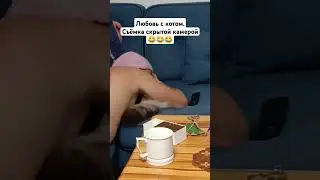 22 июля 2024 г.