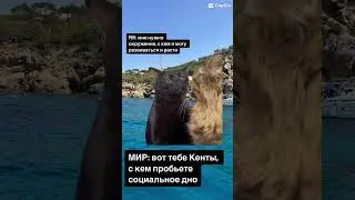 Отправляй своим корешам… 