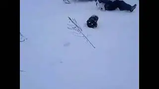 Любители экстрима