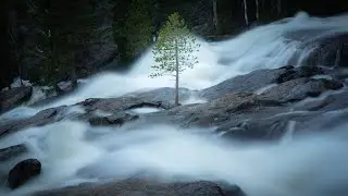 How to Use Contrast to Take Insane Photos