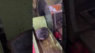 Awesome Agate Stone