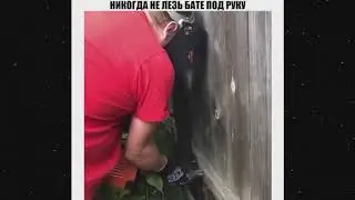 Лутшие приколы декабрь 2020