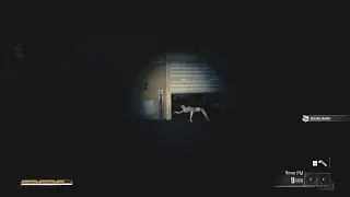 Black Ops 6 Campaign but it's a horror game