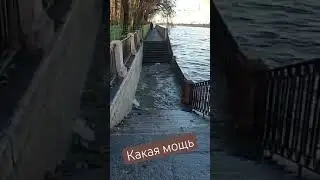"Нева" осенью￼ сила мощь красота
