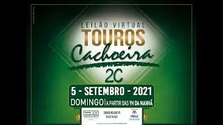 LOTES - Leilão Virtual da Cachoeira 2C - 05/09/2021.