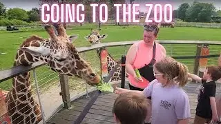 We checked out the Toledo Zoo! 🐻🐠🦒❤️