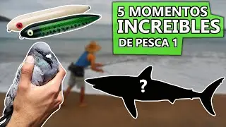 5 MOMENTOS INCREIBLES de PESCA