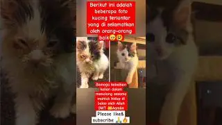 mengharukan #shorts #shortvideo #status