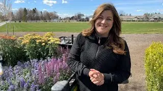 Proven Winners® Perennials | Laura’s Top 3 Favorites for Sunny Gardens