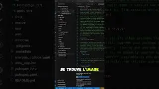Insertion d'une image dans une application mobile 