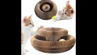 cat scratch board