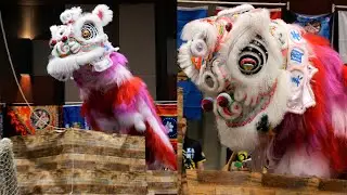 USDLDF National Dragon and Lion Dance Championships 2023 Women Austin Texas- mua lan 4K