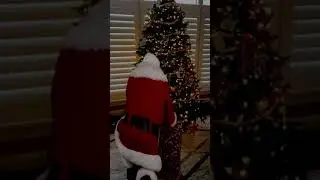 Santa Live Sample1