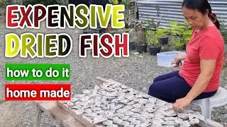 EXPENSIVE DRIED FISH