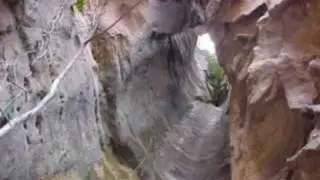 ΣΠΗΛΑΙΟΓΡΑΦΙΕΣ-BRAZIL[Serra da Capivara]ΠΑΛΑΙΟΛΙΘΙΚΗ ΕΠΟΧΗ