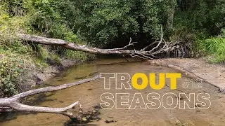 Trout Seasons #12 - Трудовая рыбалка.