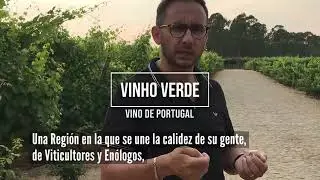 Vinho Verde, una Región de Vinos de Portugal que se adapta muy bien al Paladar mexicano