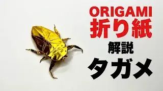 解説つきタガメの折り方　折り紙　タガメ　 Origami Giant Waterbug
