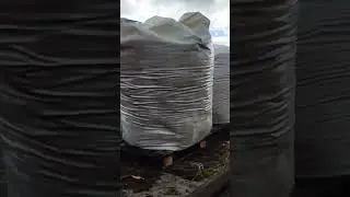 Зил -130.Старый грузовик возит опилки на конюшню! Зил 130 снова в деле