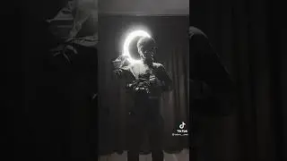 #фурри