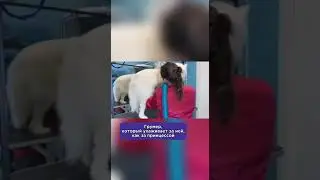 Найдена самая главная принцесса в мире