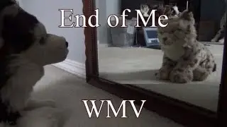 End of Me Webkinz Music Video