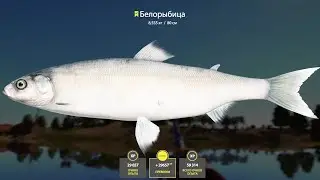 WHITE FISHING SPOT ON AKHTUBA/RUSSIAN FISHING 4/RR4