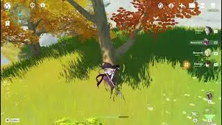 Genshin Impact wood farming bug?