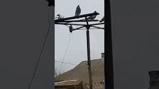 16 апреля 2023 г.