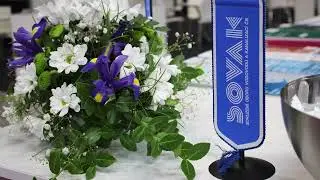 Vodárenství a problematika taxonomie