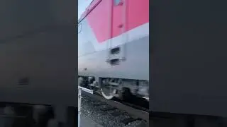 2эс6 Синара