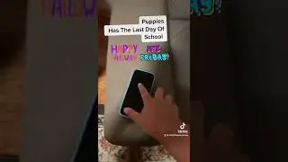 Puppies Has Last Day Of School ￼
