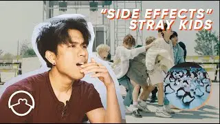 Performer React to Stray Kids 