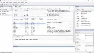 Data management: How to label variables